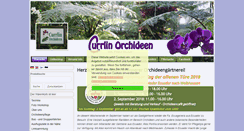 Desktop Screenshot of currlin.com